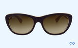 Rayban RB4227 55