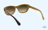 Rayban RB4227 55