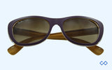 Rayban RB4227 55