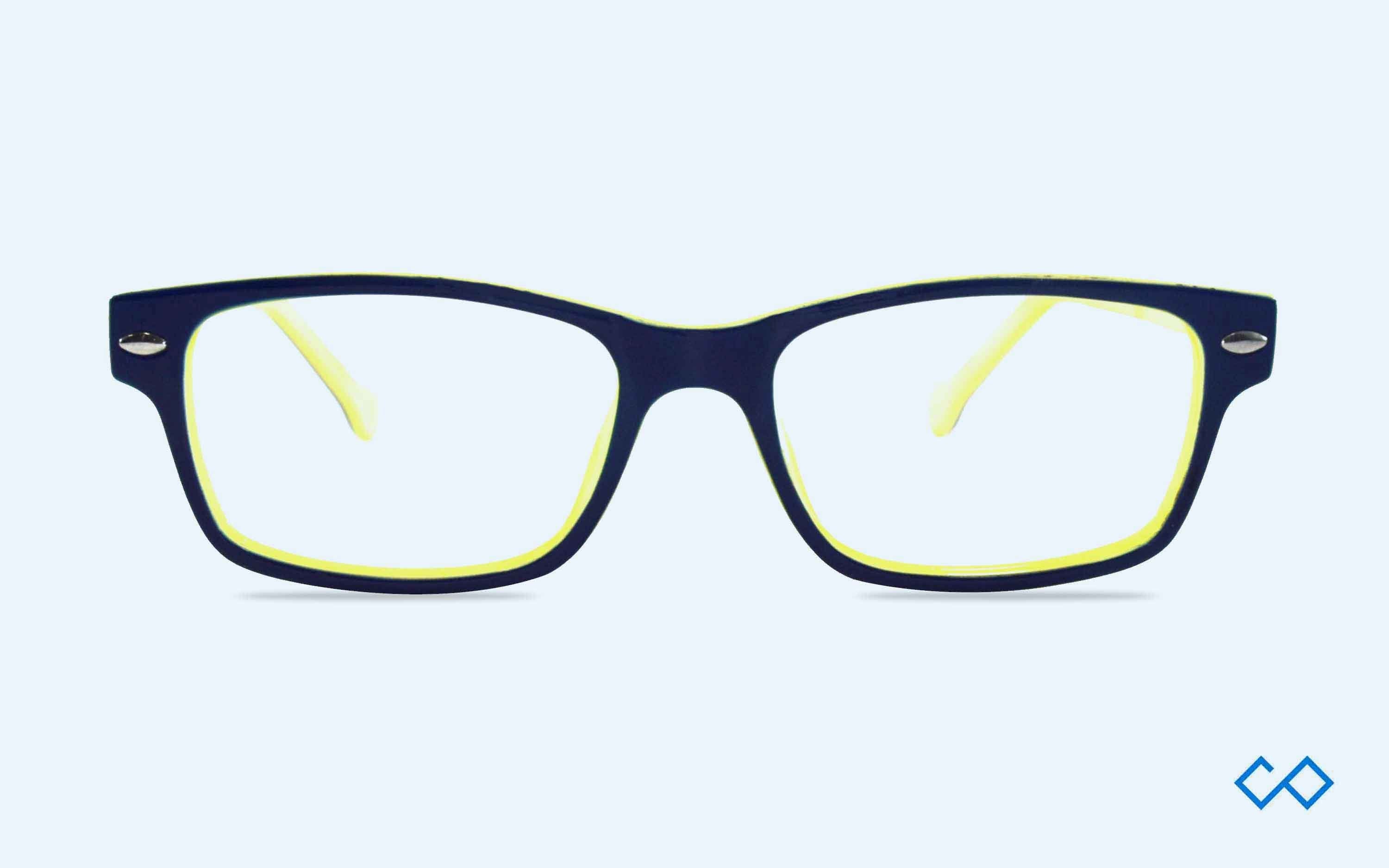 Kids Eyeglasses – WizOpt