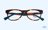 Ocean TN-302 43 - Eyeglasses